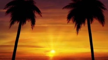 黄昏夕阳海滩椰子树大片场景视频素材