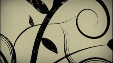 黑色水墨花藤枝叶枝条动态生长特效视频素材