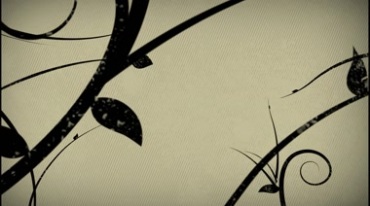 黑色水墨花藤枝叶枝条动态生长特效视频素材