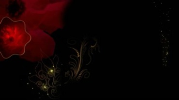 中国风红色花朵旋转图案金光粒子特效视频素材