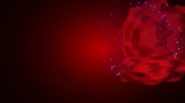 红色花朵绽放闪光粒子背景视频素材