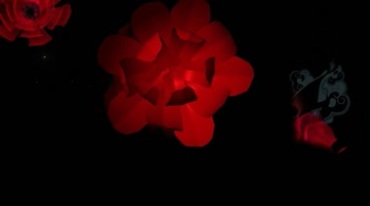 红色花朵开花动态特效视频素材