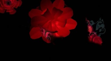 红色花朵开花动态特效视频素材