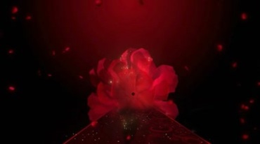 中国红T台走秀红色花朵盛开舞台特效视频素材