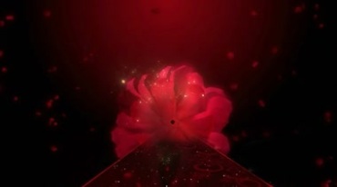 中国红T台走秀红色花朵盛开舞台特效视频素材