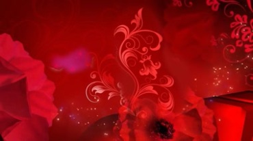 红色花纹枝条生长玫瑰花闪光粒子喜庆节日视频素材
