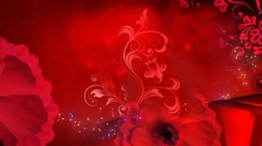 红色花纹枝条生长玫瑰花闪光粒子喜庆节日视频素材