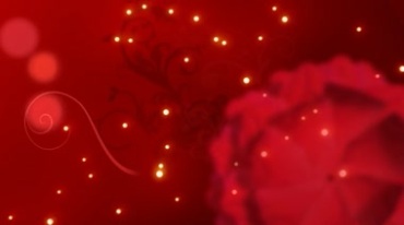中国红花纹图案生长金光粒子闪亮视频素材