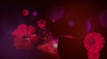 红花动态背景视频素材