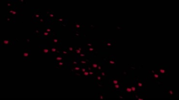 红色花瓣粒子向上飞特效视频素材