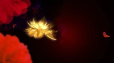 荷花莲花旋转金色粒子环绕金光闪闪特效视频素材