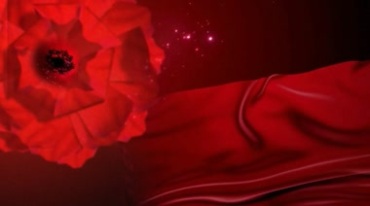 红色花朵开花红绸飘舞粒子闪光中式婚礼视频素材