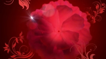 大气红花绽放红色舞台屏幕背景视频素材