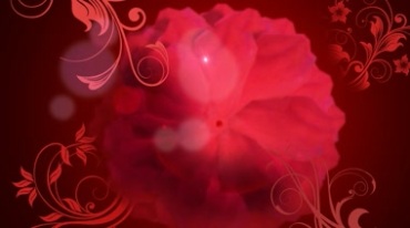 大气红花绽放红色舞台屏幕背景视频素材