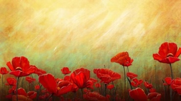红色花朵红花开花油彩油画视频素材