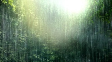 雨中热带森林雨线雨帘大暴雨视频素材