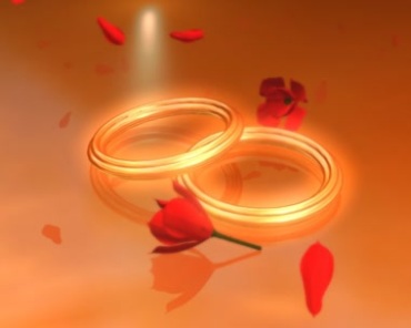 金色朦胧戒指对戒玫瑰花求婚仪式表白视频素材