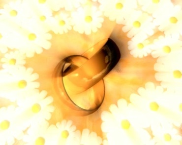 花丛中的结婚戒指对戒视频素材