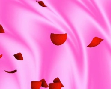 红色玫瑰花瓣飘落视频素材