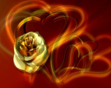 黄金质感的桃心爱心玫瑰花爱情表白视频素材