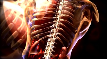 人体骨架内脏器官肋骨医学研究视频素材