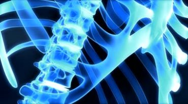 人体骨架骨骼3D透视X光扫描医学视频素材