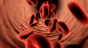 血管里血液流动血小板营养分子视频素材