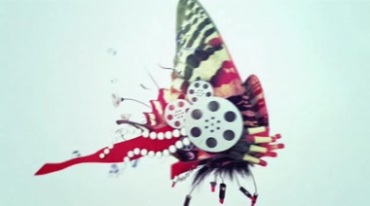 机械蝴蝶破茧而出空中飞舞变幻视频素材