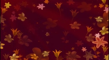 很多红色小花朵动态背景视频素材