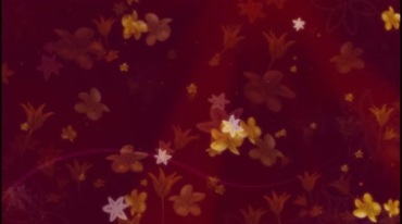 红色花朵布满场景背景视频素材
