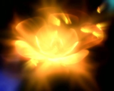 金光沐浴中的莲花花瓣盛开佛光辉光四射视频素材
