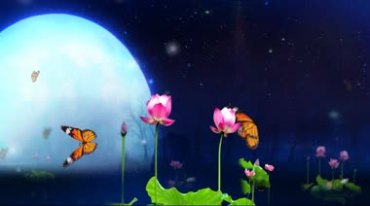 荷塘月色下彩蝴蝶飞舞动态背景视频素材