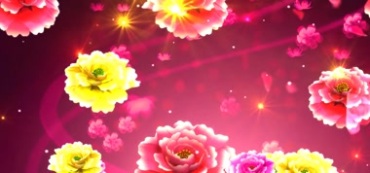 牡丹花开富贵花朵绽放舞台屏幕背景视频素材