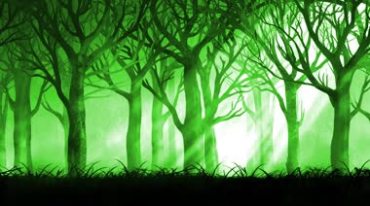 绿色阳光诡异惊悚诡秘恐怖森林树林视频素材