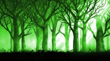 绿色阳光诡异惊悚诡秘恐怖森林树林视频素材