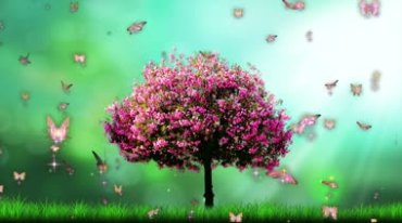 一棵独树开满红色桃花蝴蝶围绕大树飞舞视频素材