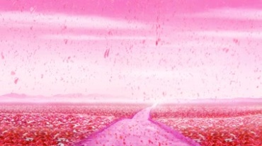 爱情之路粉色鲜花漫天花瓣雨铺满大路视频素材