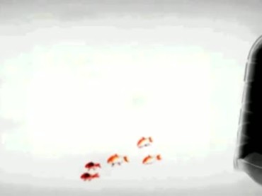 中国风水墨荷花蜻蜓锦鲤鱼小桥流水视频素材