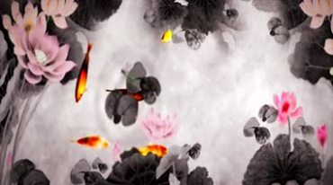 中国水墨荷花鱼儿游动戏水视频素材