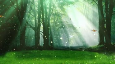 梦幻树林太阳光照射绿草地粒子升起视频素材