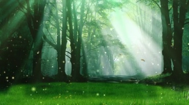 梦幻树林太阳光照射绿草地粒子升起视频素材