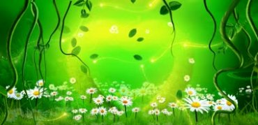 绿色花草树叶绿地小野花梦幻粒子场景视频素材