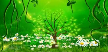 绿色花草树叶绿地小野花梦幻粒子场景视频素材