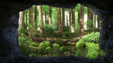 山洞外的原始森林池塘树林视频素材
