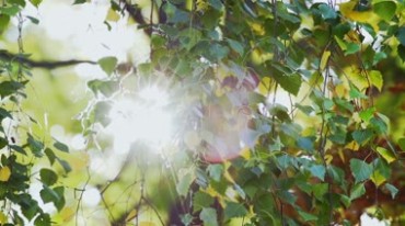 阳光透过树叶斑驳光圈镜头感视频素材