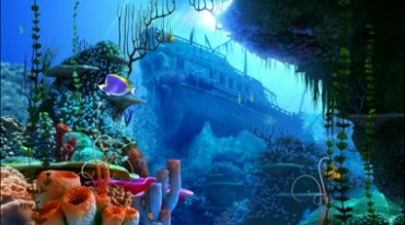 海底沉船美丽珊瑚礁鱼儿游动海洋婚礼背景视频素材