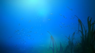 鱼群结队在蓝色海底水草中穿梭游动卡通视频素材
