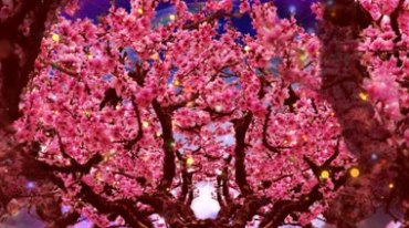 桃花树枝繁叶茂满树十里桃花桃园视频素材
