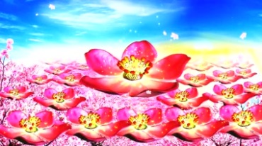 桃花花瓣花朵盛开视频素材