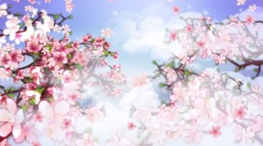 粉色桃花盛开花瓣飘落(有音乐)视频素材